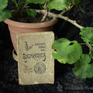 Primer libro del ajedrecista - J. Paluzie y Lucena DESCATALOGADO!!!